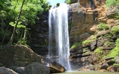 Toccoa Falls and an Automotive Museum